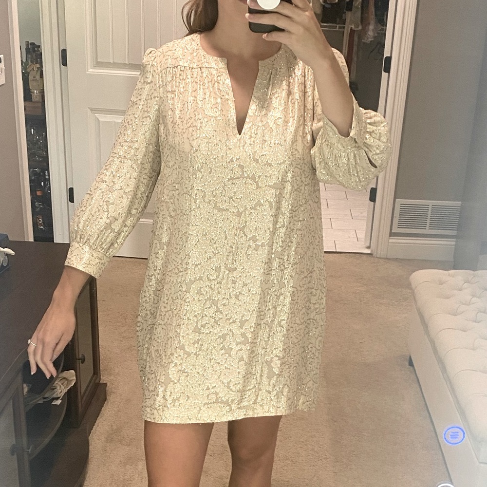 Elizabeth and James Heidi Metallic Jacquard Dress